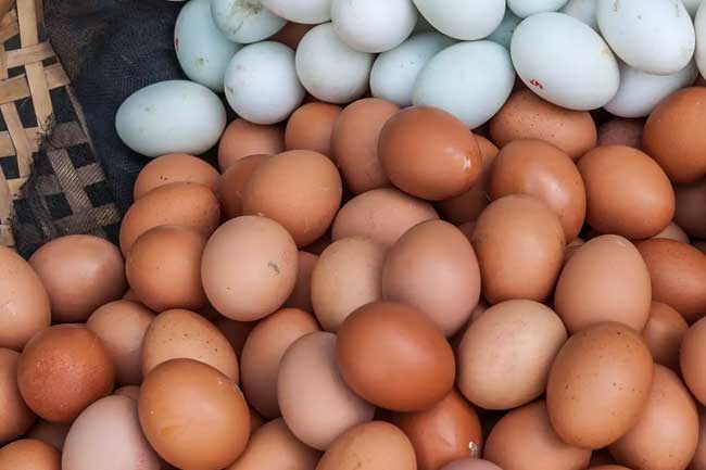 முட்டை மாஃபியாவுடன் அமைச்சர்களுக்கு தொடர்பு?