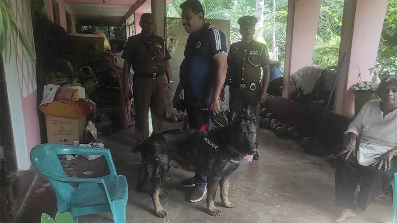 சுவிஸ் பிரஜையான வயோதிபப் பெண் மீது தாக்குதல்: 2 கோடிக்கும் அதிக வௌிநாட்டு நாணயங்கள் கொள்ளை