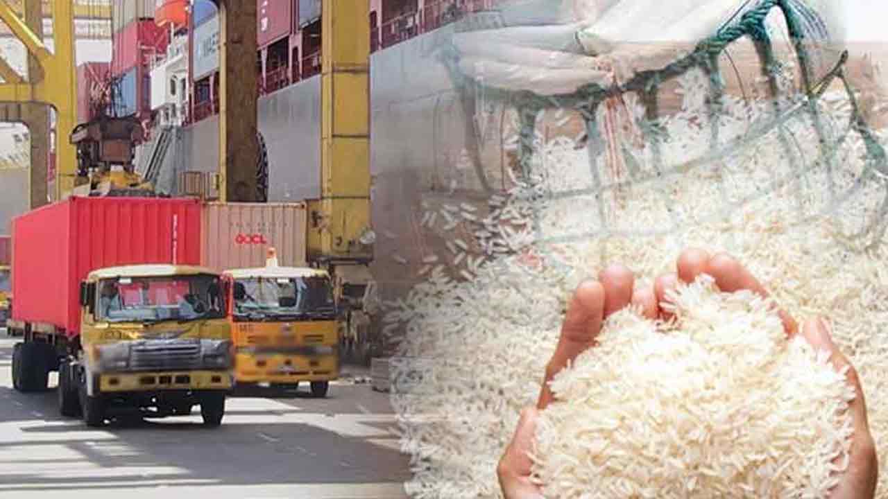 இறக்குமதி அரிசியில் வண்டுகள் - மீள் ஏற்றுமதி செய்ய உத்தரவு