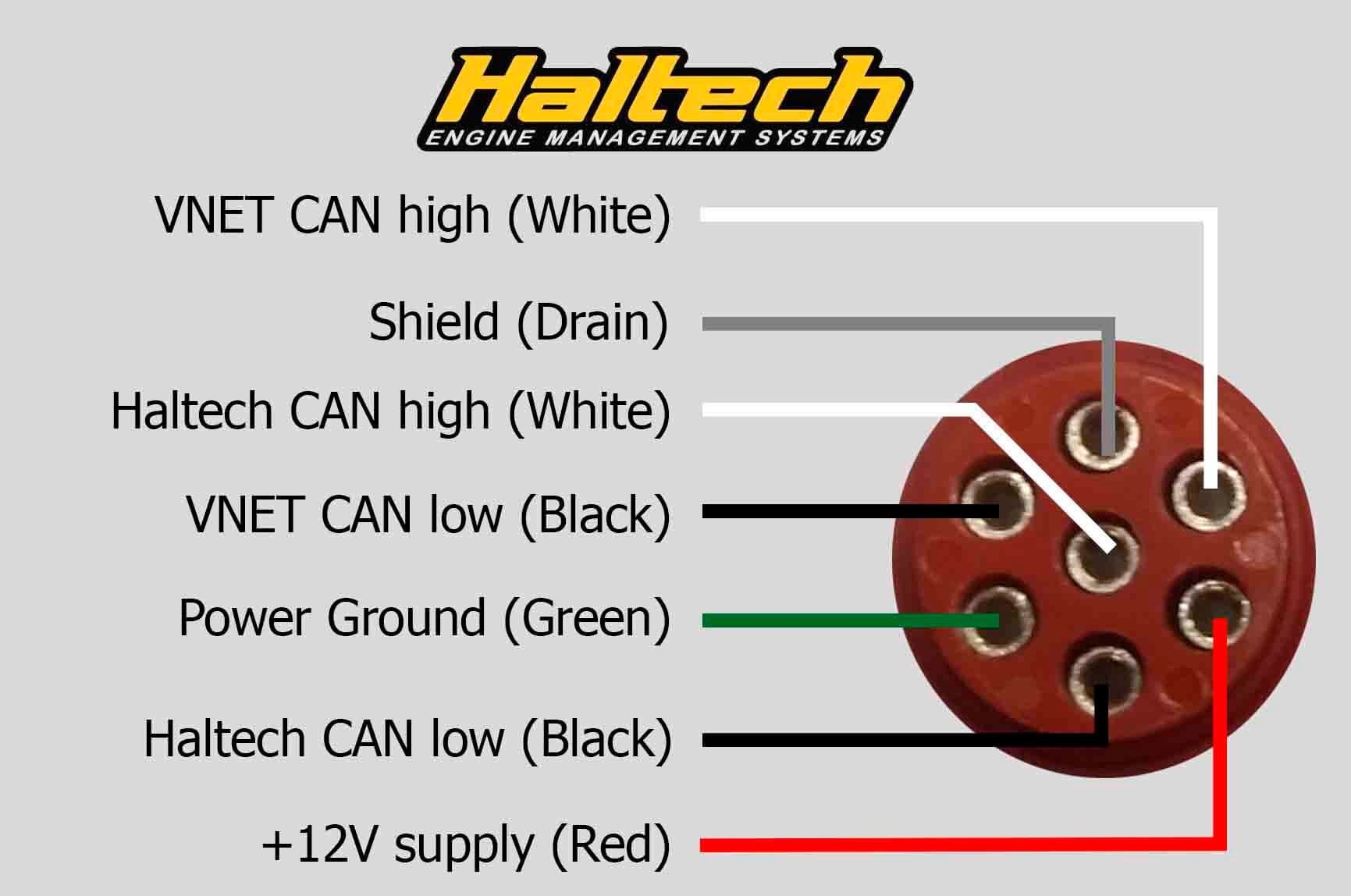2_Haltech_pinout