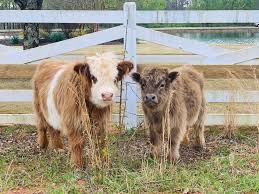 addiction treatment workbooks