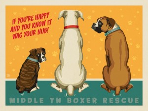 Middle Tennessee Boxer Rescue Fundraiser Print #4 (Nubs)