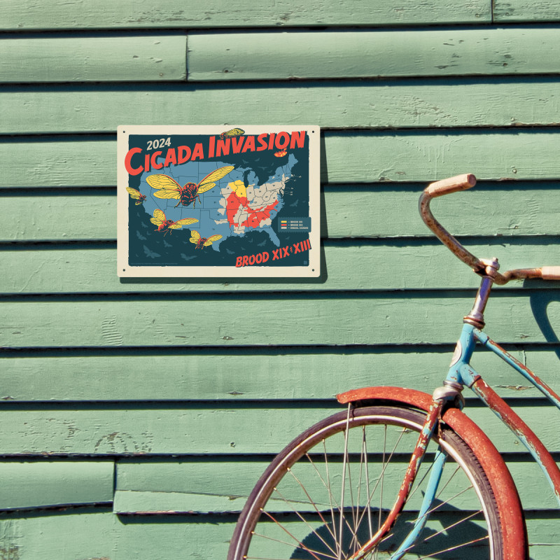 376129