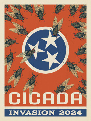 2024 Tennessee Cicada Invasion