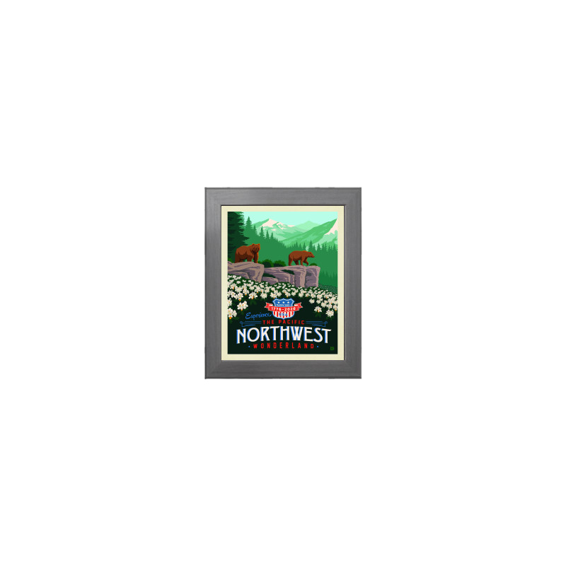 427049
