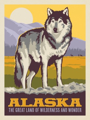 Alaska: Gray Wolf