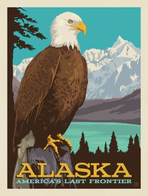 Alaska: Perched Eagle