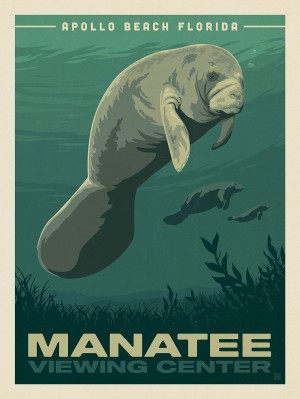 Apollo Beach, Florida: Manatee Viewing Center