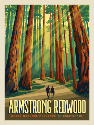Armstrong Redwoods State Natural Reserve, CA