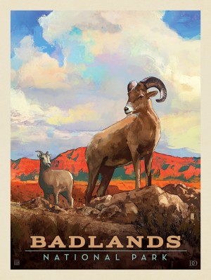 Badlands National Park: Bighorn Sheep