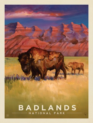 Badlands National Park: Bison-KC