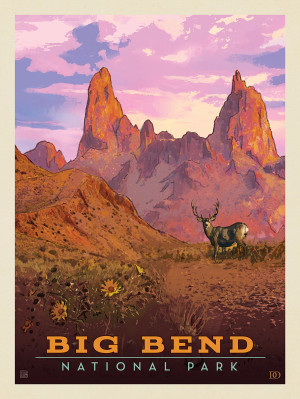 Big Bend National Park: Mule Deer