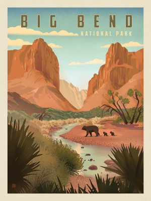 Big Bend National Park: Black Bears