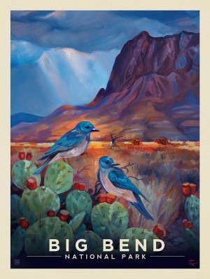 Big Bend National Park: Desert Perch-KC