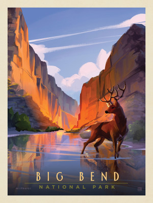 Big Bend National Park: Made In The Shade