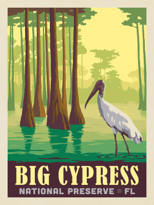 Big Cypress National. Preserve, FL