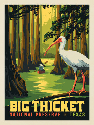 Big Thicket National Preserve, TX