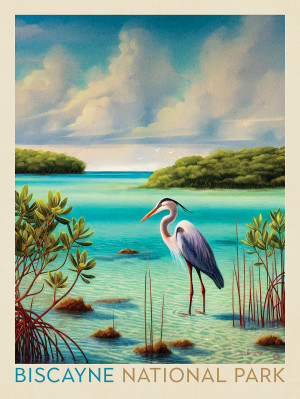 Biscayne National Park: Among The Mangroves