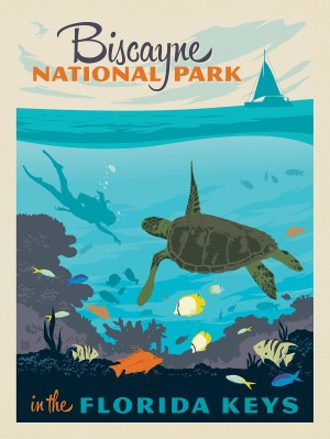Biscayne National Park: Diver