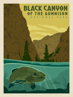 Black Canyon of the Gunnison National Park: Trout
