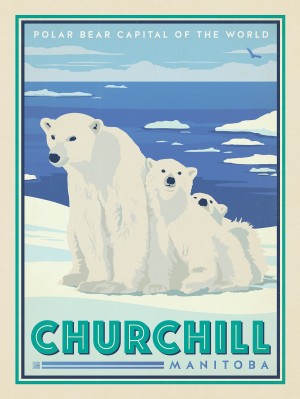 Canada: Churchill Manitoba Polar Bears