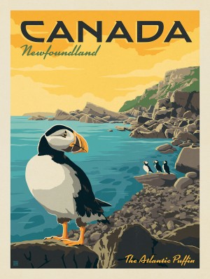 Canada: Newfoundland Puffins