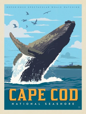 Cape Cod National Seashore