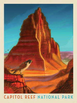 Capitol Reef National Park: Falcon Roost