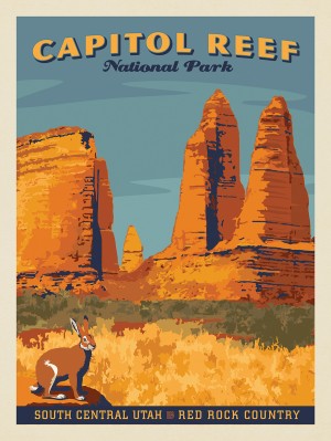 Capitol Reef National Park: Jack Rabbit