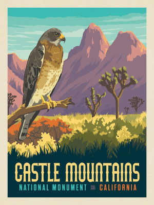 Castle Mountains National Monument, CA