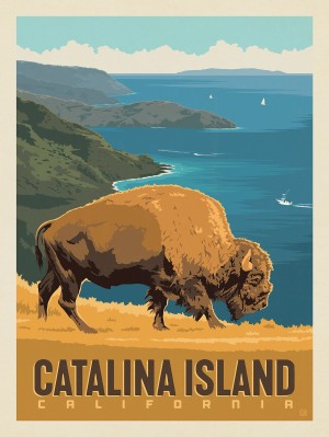 Catalina Island, CA: Bison Conservancy