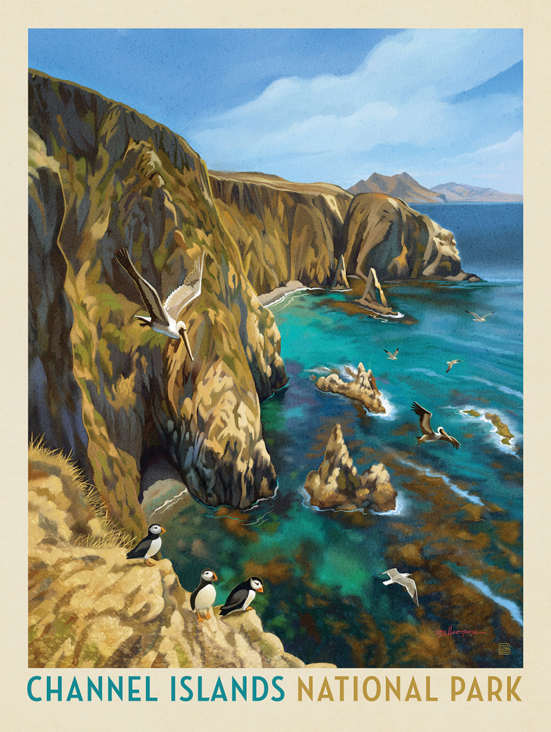 Channel Islands National Park: Birds Of A Feather