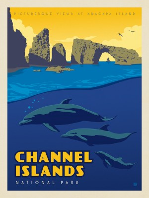 Channel Islands National Park: Dolphins