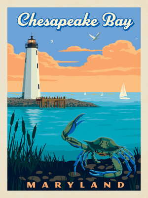 Chesapeake Bay: Blue Crab