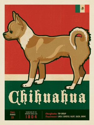 Chihuahua