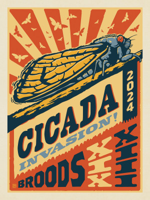 Cicada Invasion: Broods XIII And XIX Letterpress Design