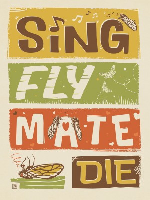 Cicada Invasion: Sing. Fly. Mate. Die.