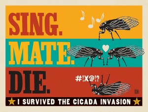 Cicada Invasion: Sing. Mate. Die. (Horizontal)