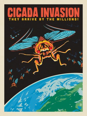 Cicada Invasion