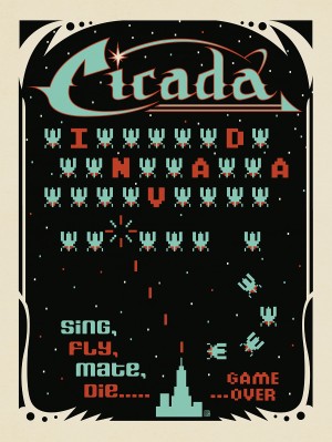 Cicada Invayda: Video Arcade Game