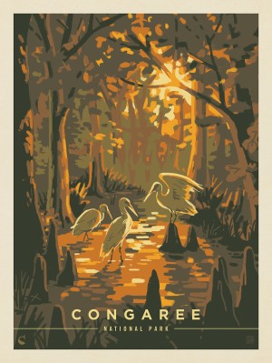 Congaree National Park: Daybreak
