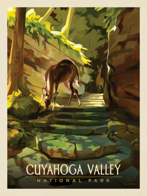 Cuyahoga Valley National Park: Daybreak Deer