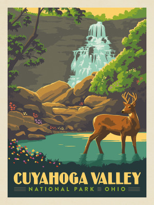 Cuyahoga Valley National Park: Wildflowers