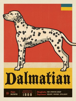 Dalmatian