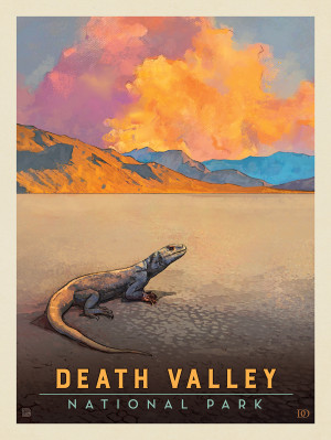 Death Valley National Park: Chuckwalla Lizard