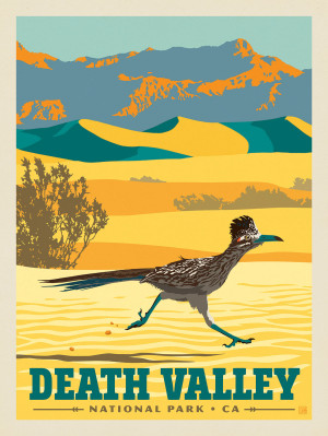 Death Valley National Park: Roadrunner