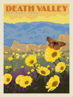 Death Valley National Park: Wildflowers