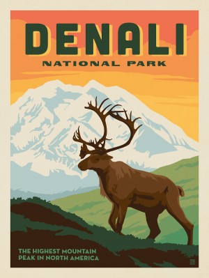 Denali National Park: Caribou