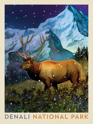 Denali National Park: Early Winter