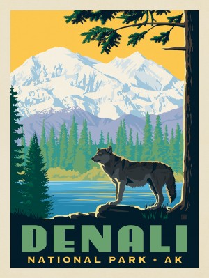 Denali National Park: Wolf